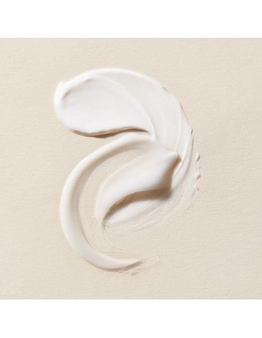 PRIMADERM XPERT COLLAGENEUR CREAM...