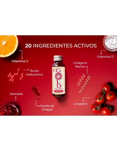 GOLD COLLAGEN FORTE  10 FRASCOS...