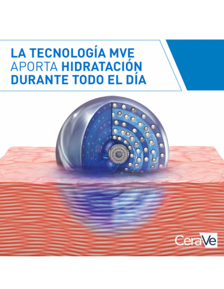 CERAVE DUPLO CREMA HIDRATANTE 340G (25%DTO EN LA 2ªUNIDAD)