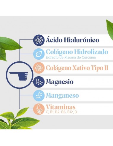 ARKOFLEX  COLAGENO SPORT 2 ENVASES...