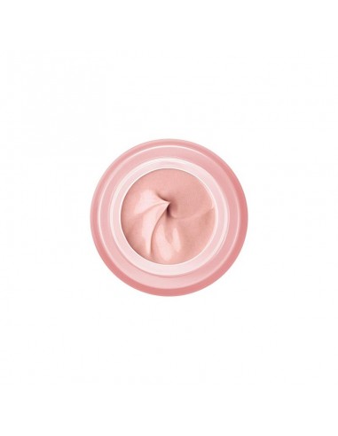 Vichy Neovadiol Rose Platinium Crema...