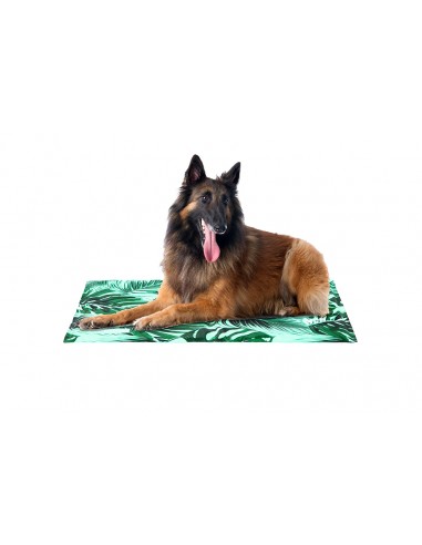 FREEDOG COLCHONETA REFRESCANTE ESPUMA AZUL 66X50CM