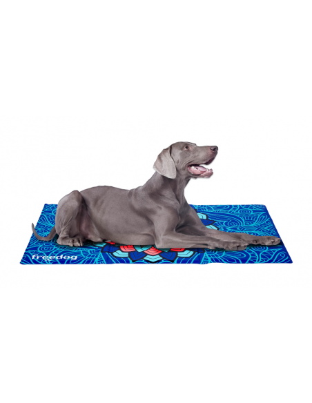 FREEDOG COLCHONETA REFRESCANTE ESPUMA AZUL 66X50CM