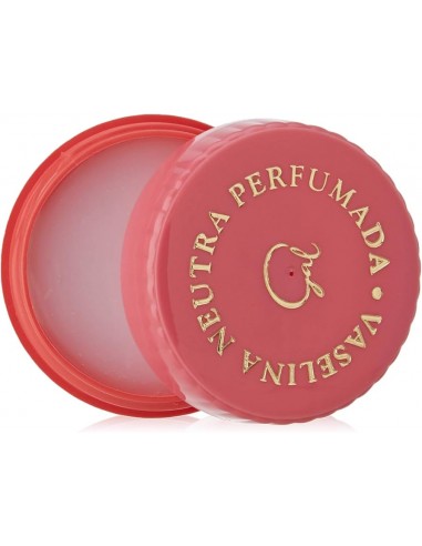 VASELINA GAL PERFUMADA 12 G