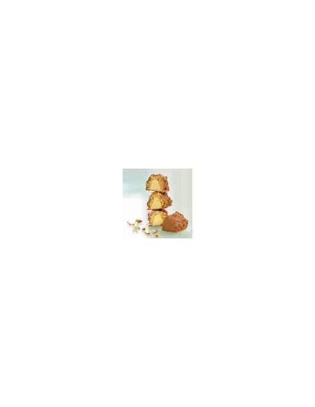 HSN EVOBARS COCONUT CARAMEL FLAVOUR 60G