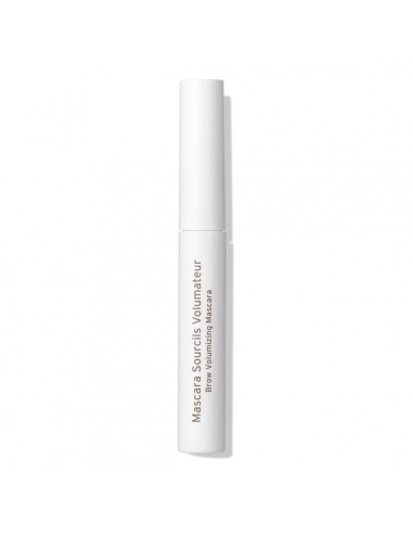 EMBRYOLISSE MÁSCARA DE CEJAS MARRÓN 5ML