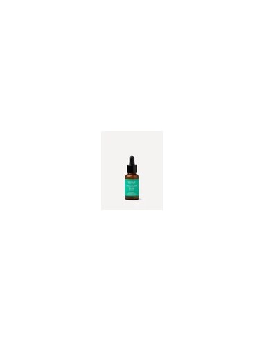 SEGLE CELLULAR PLUS SERUM, 30 ML