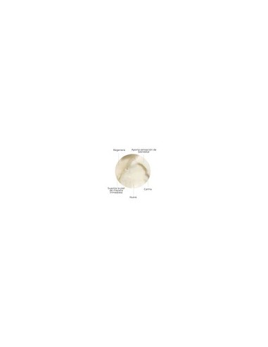 SEGLE SKIN FACTOR CREMA, 50 ML