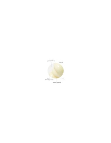 SEGLE MASCARILLA HIDRATACIÓN, 50 ML