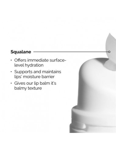 The Ordinary Squalane + Amino Acids...