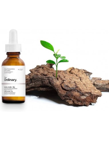 THE ORDINARY AMINO ACIDS + VITAMIN B5...