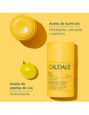 CAUDALIE VINOSUN PROTECT STICK...