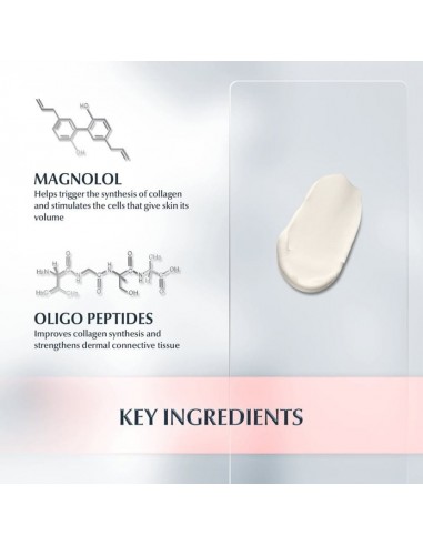 EUCERIN HYALURON FILLER+ VOLUME LIFT DÍA FPS15 PIEL SECA 50ML