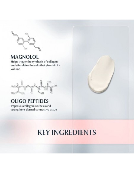 EUCERIN HYALURON FILLER+ VOLUME LIFT DÍA FPS15 PIEL SECA 50ML