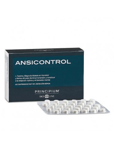 PRINCIPIUM ANSICONTROL  60...