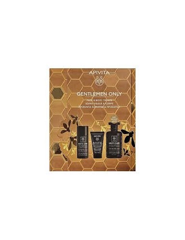 APIVITA PRO XMAS MENCARE CREMA...