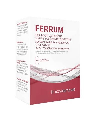 Inovance Ferrum Hierro...